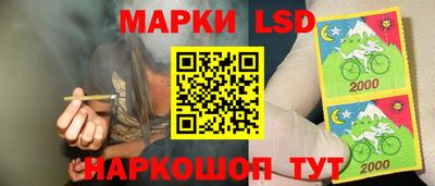 стафф Владимир
