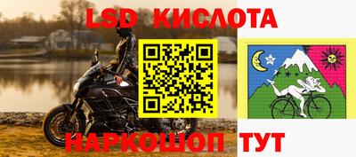 индика Владивосток