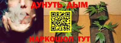 индика Владивосток