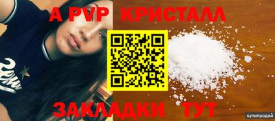 стафф Владимир