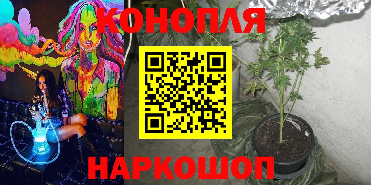 Горно-Алтайск  Бошки Шишки сатива  Вход с VPN  Марихуана сатива 